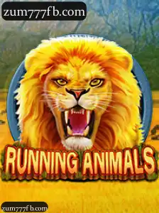 RunningAnimals